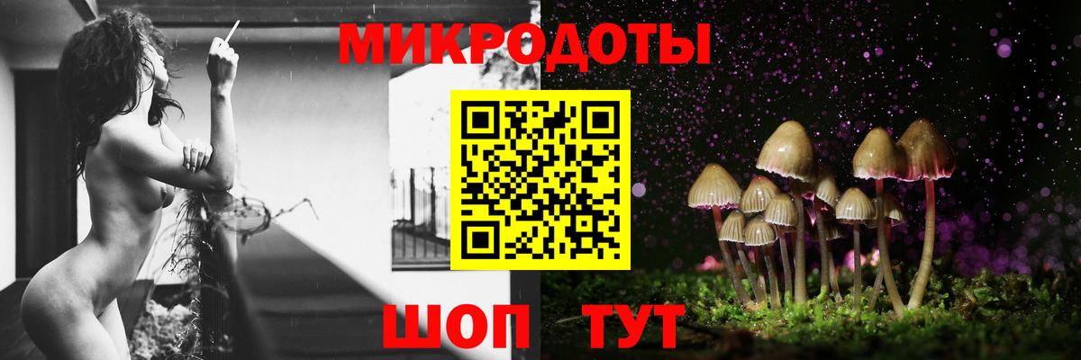 Псилоцибиновые грибы Cubensis Альметьевск
